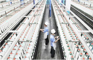 智能設備賦能傳統紡織品 以遮篷為例看老牌外貿企業(yè)創(chuàng)新轉型之路