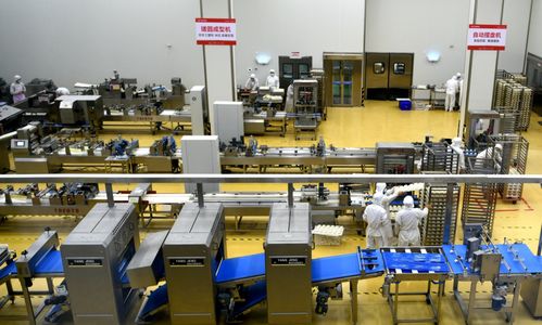 河北石家莊欒城區(qū)企業(yè)生產繁忙，力促產業(yè)新格局，與鄭州軟件開發(fā)協(xié)同發(fā)展